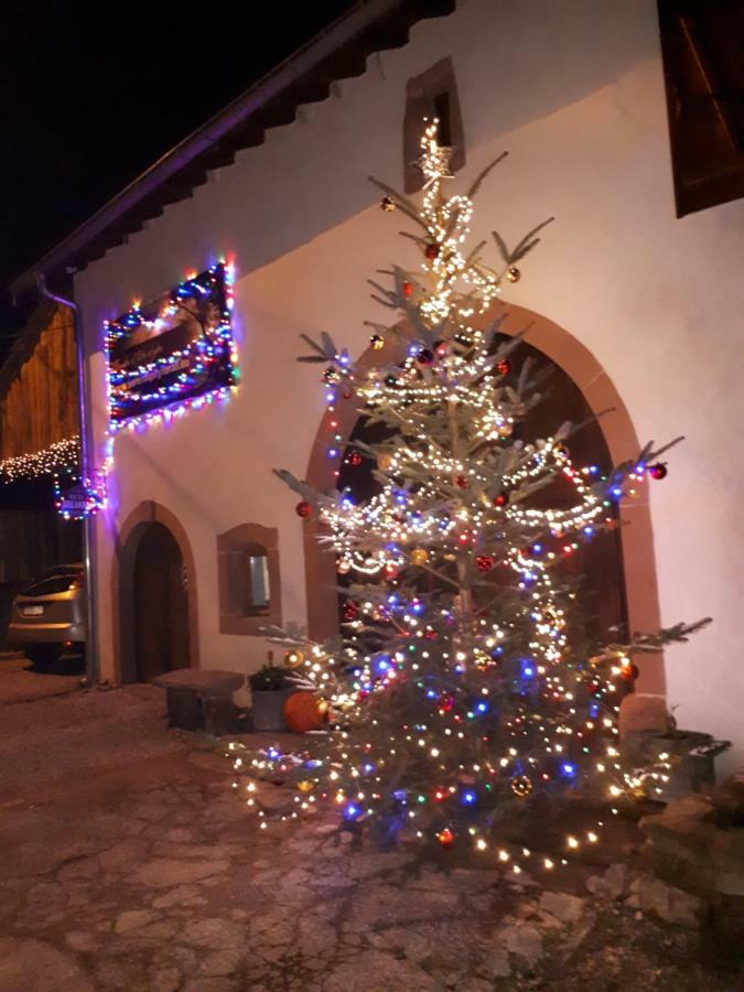 Serendipity Bed&Breakfast Saint-Die-des-Vosges Exterior photo