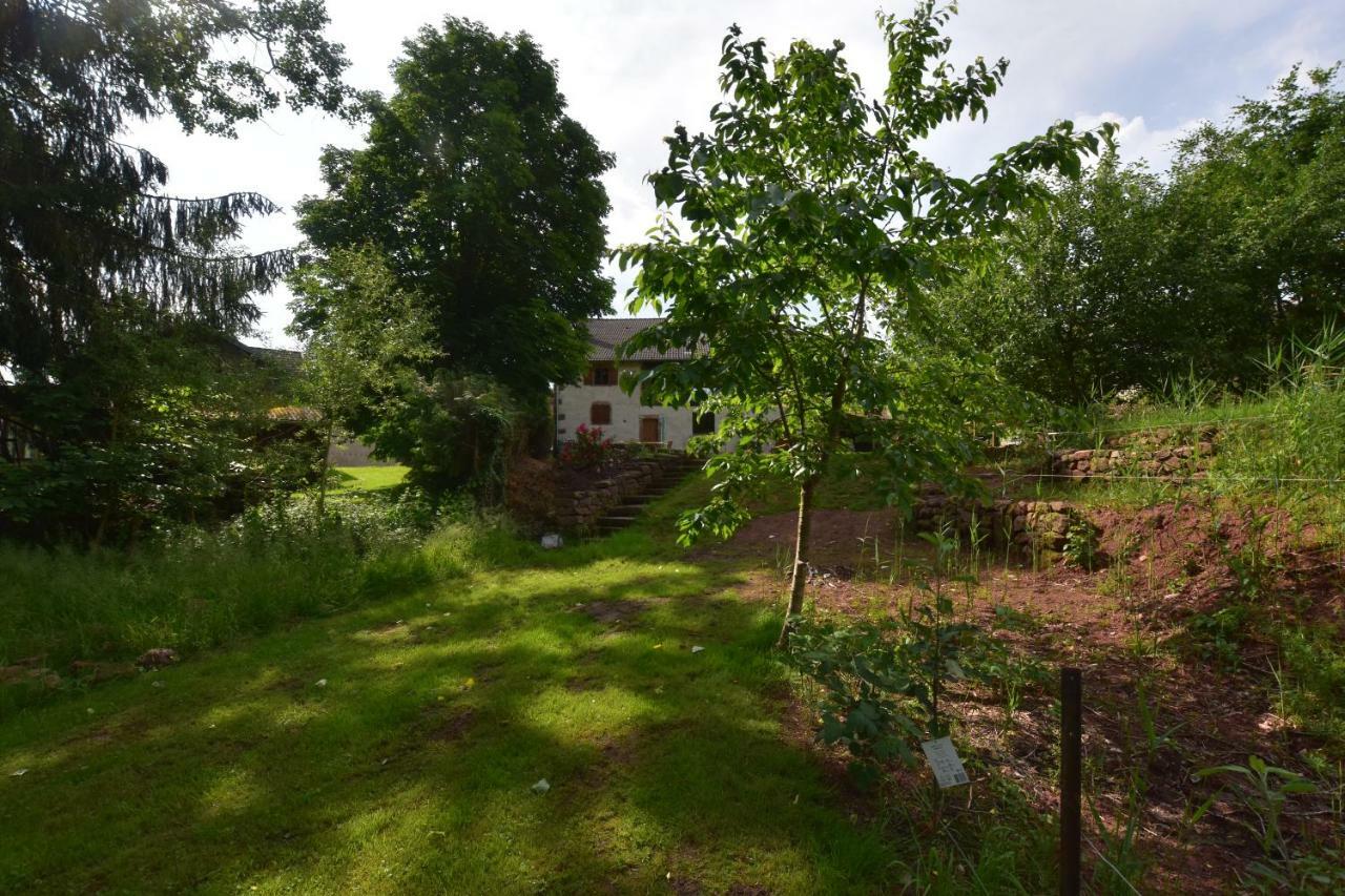Serendipity Bed&Breakfast Saint-Die-des-Vosges Exterior photo